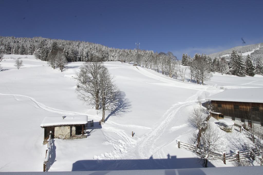 Eberharthof Apartment ซาลบาคฮินเทอร์เกลมม์ ภายนอก รูปภาพ