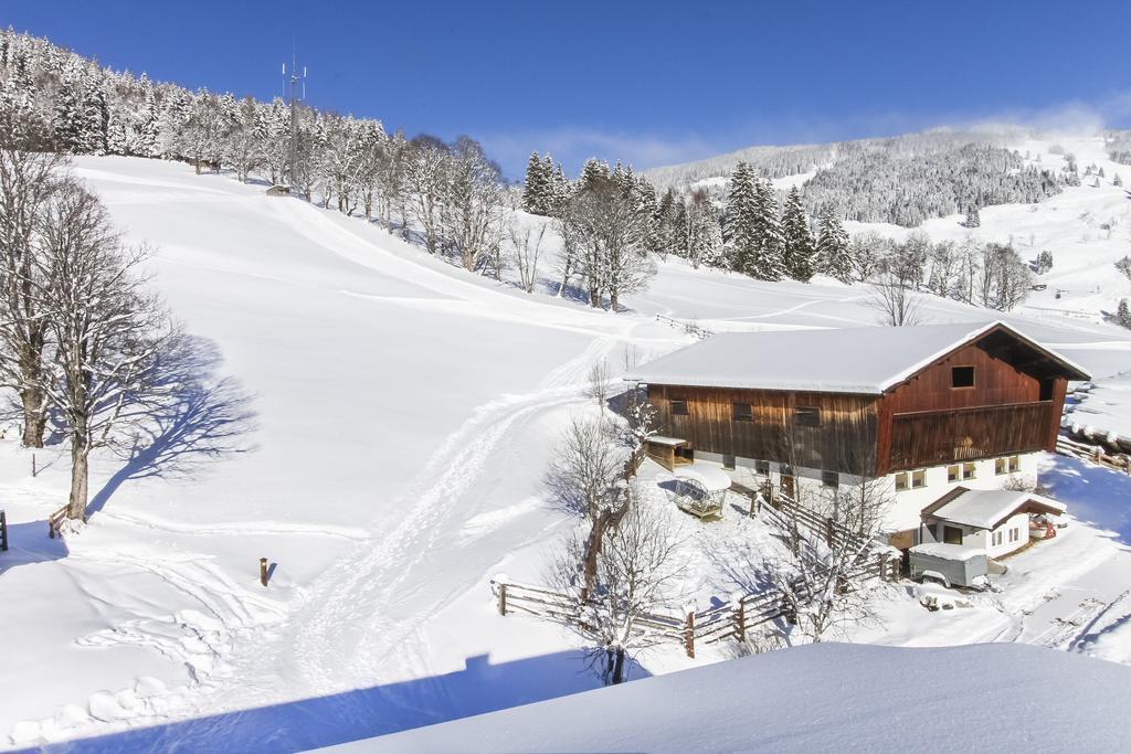 Eberharthof Apartment ซาลบาคฮินเทอร์เกลมม์ ภายนอก รูปภาพ