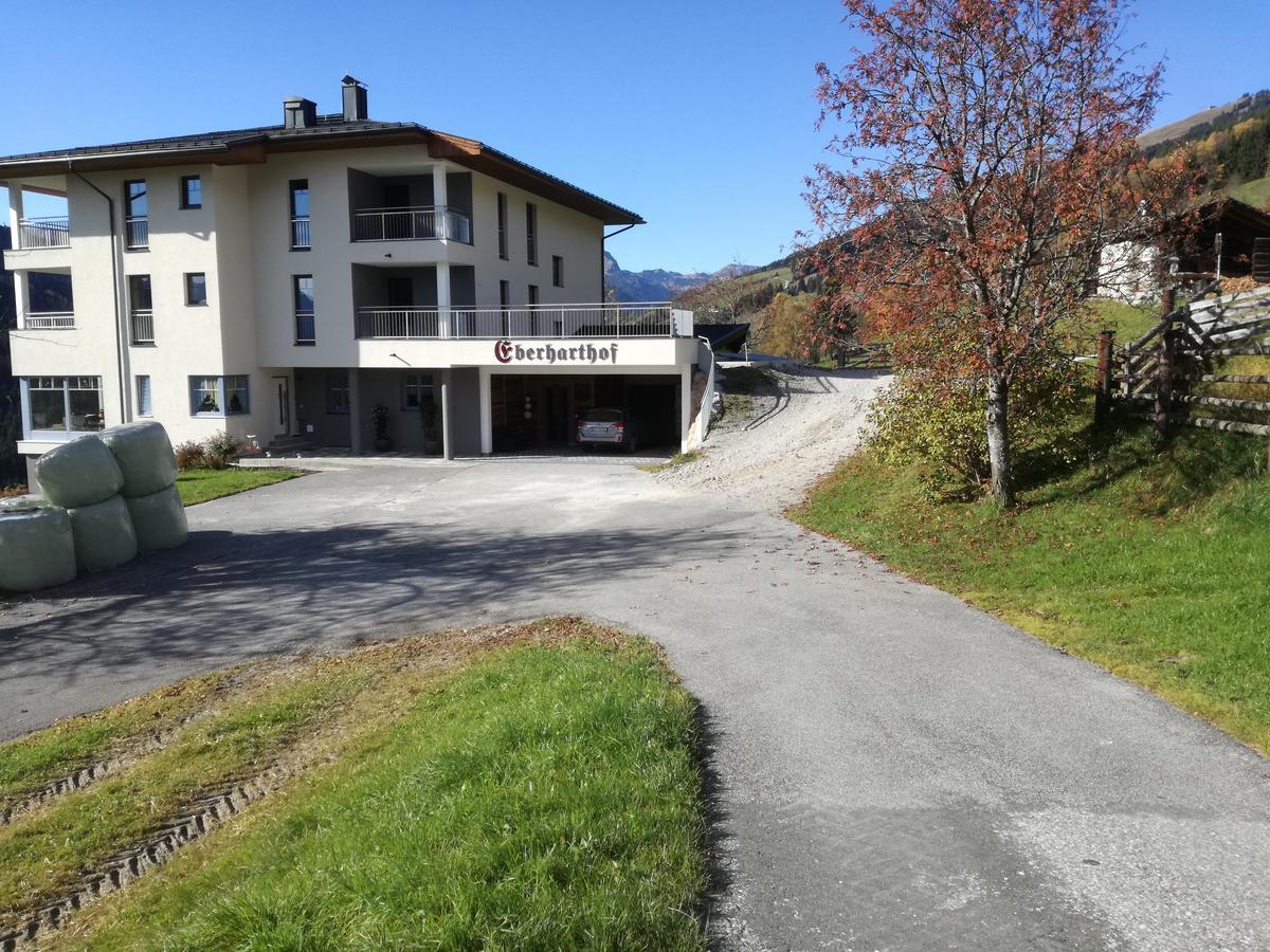 Eberharthof Apartment ซาลบาคฮินเทอร์เกลมม์ ภายนอก รูปภาพ